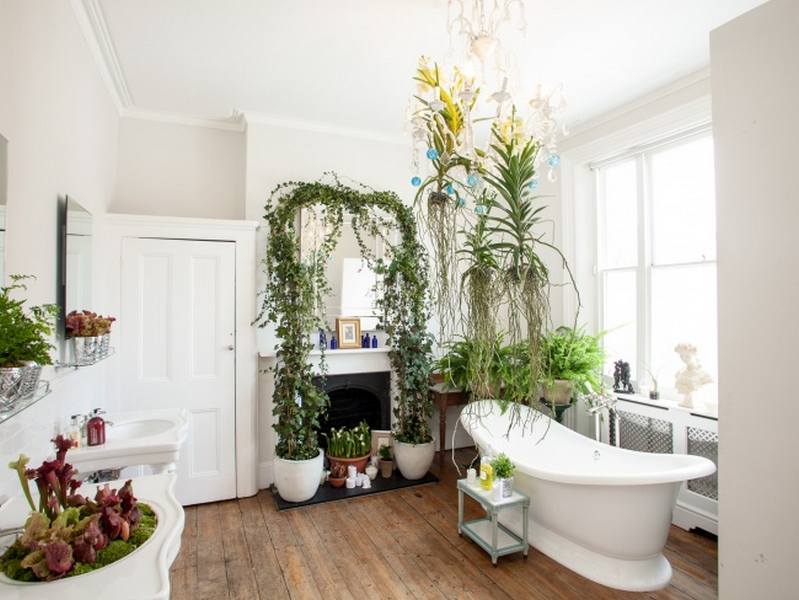 Можно ли вырастить в ванной что-то кроме плесени. 10 лучших растений для ванной комнаты