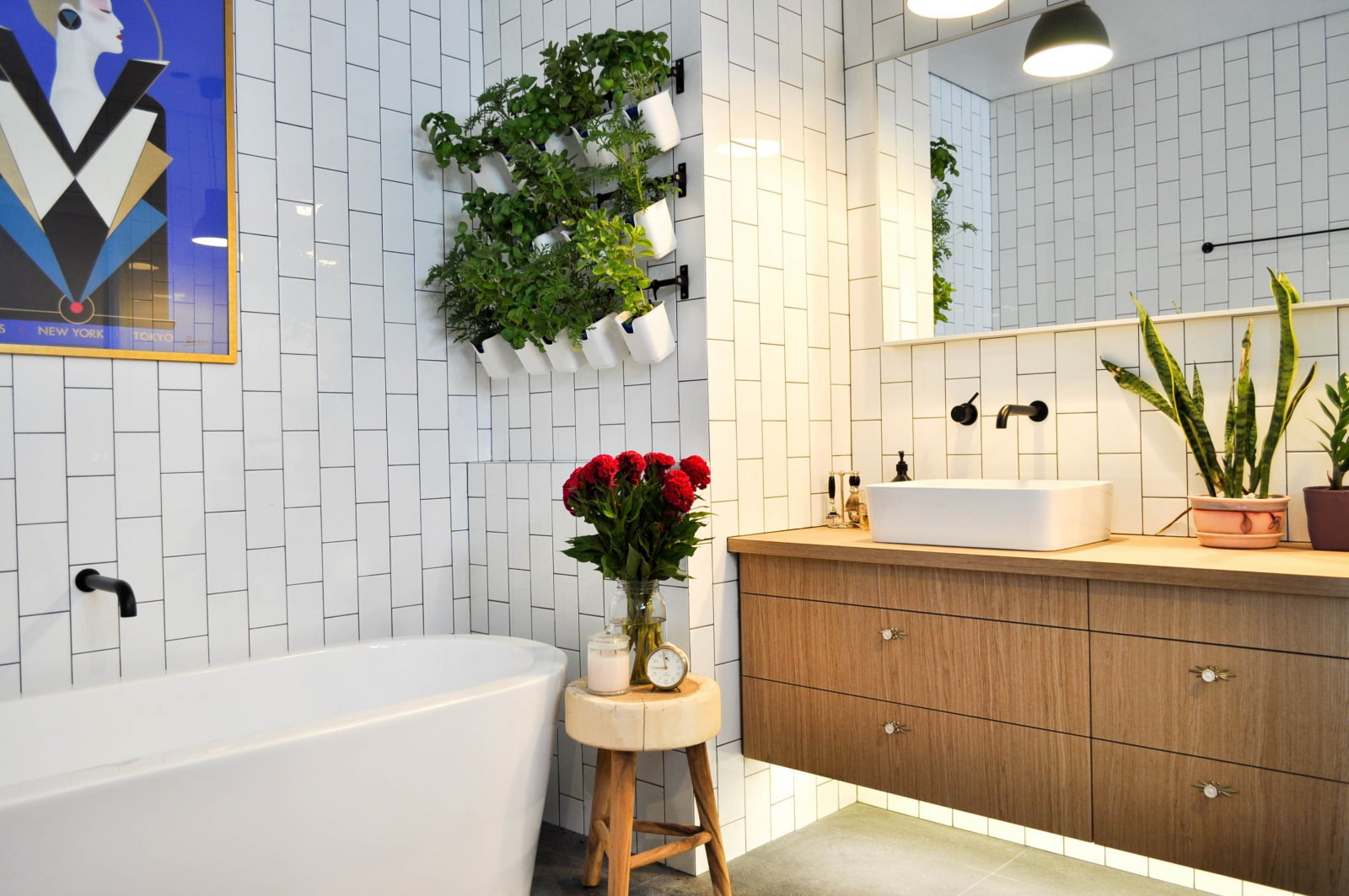 Комнатные растения для ванной комнаты — 17 вариантов