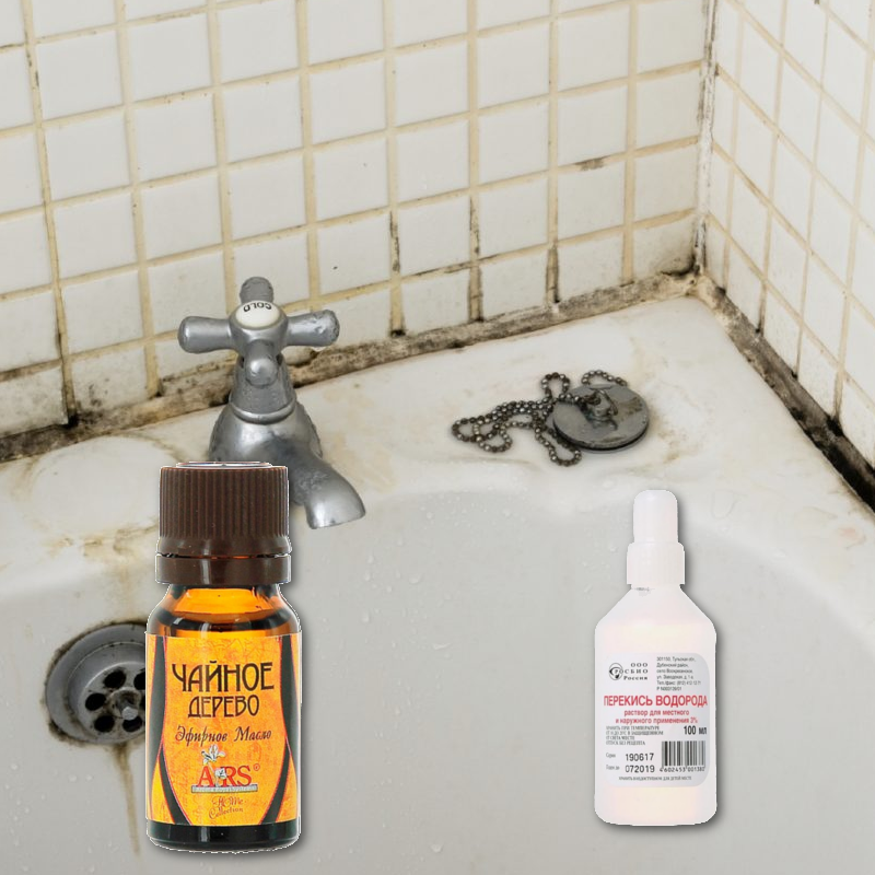 Плесень в ванной: 6 главных причин и 8 методов убрать плесень и грибок между плитками и на герметике