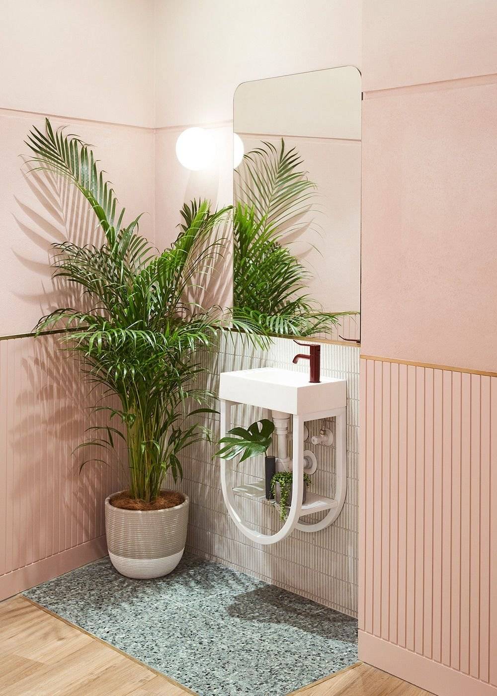 Список растений которыми можно украсить ванную комнату