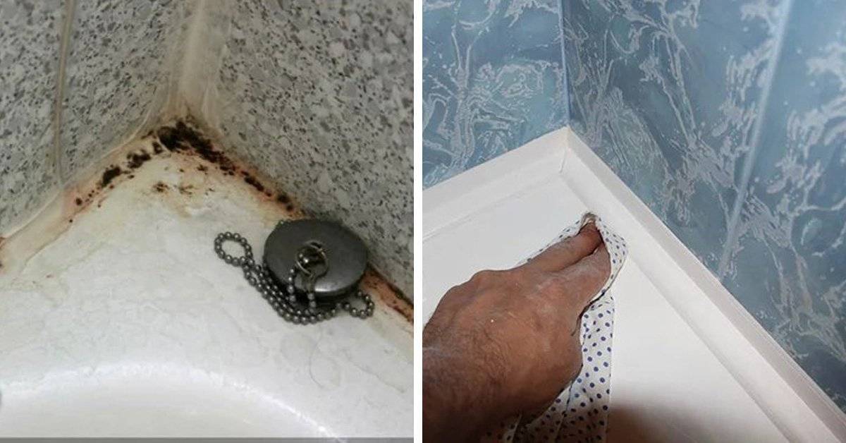 Как избавиться от плесени и грибка в ванной в домашних условиях