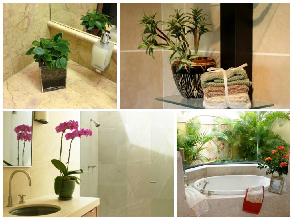 7 видов растений, которые подойдут для ванной комнаты без окон
