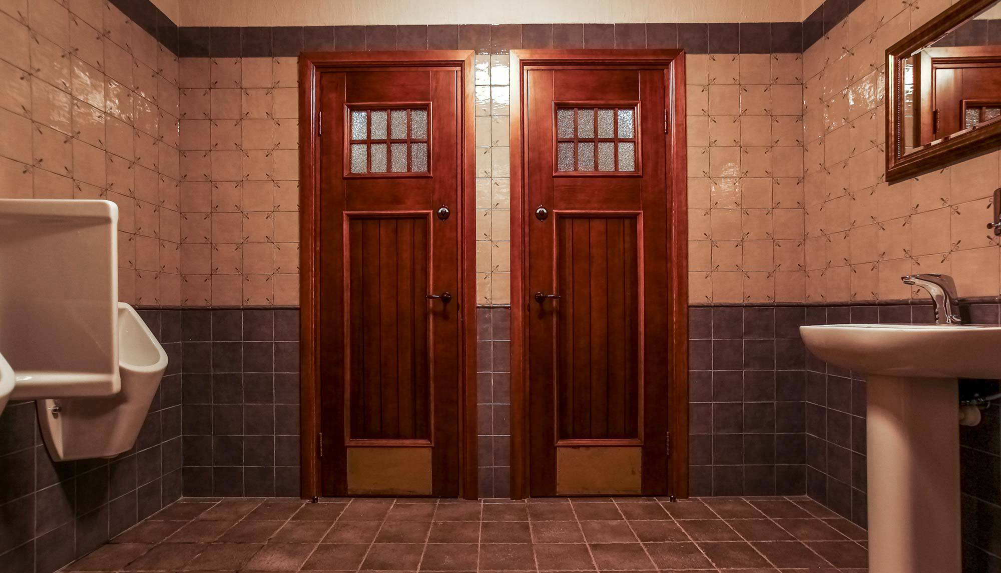 Какую дверь поставить в ванную и туалет?